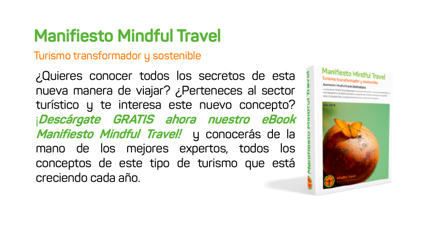 ebook Mindful Travel