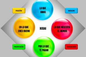 que es el ikigai paso a paso